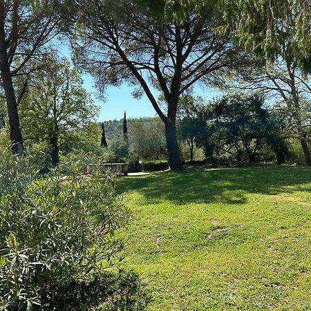 Campo Di Carlo Pensionat Sassetta Exteriör bild